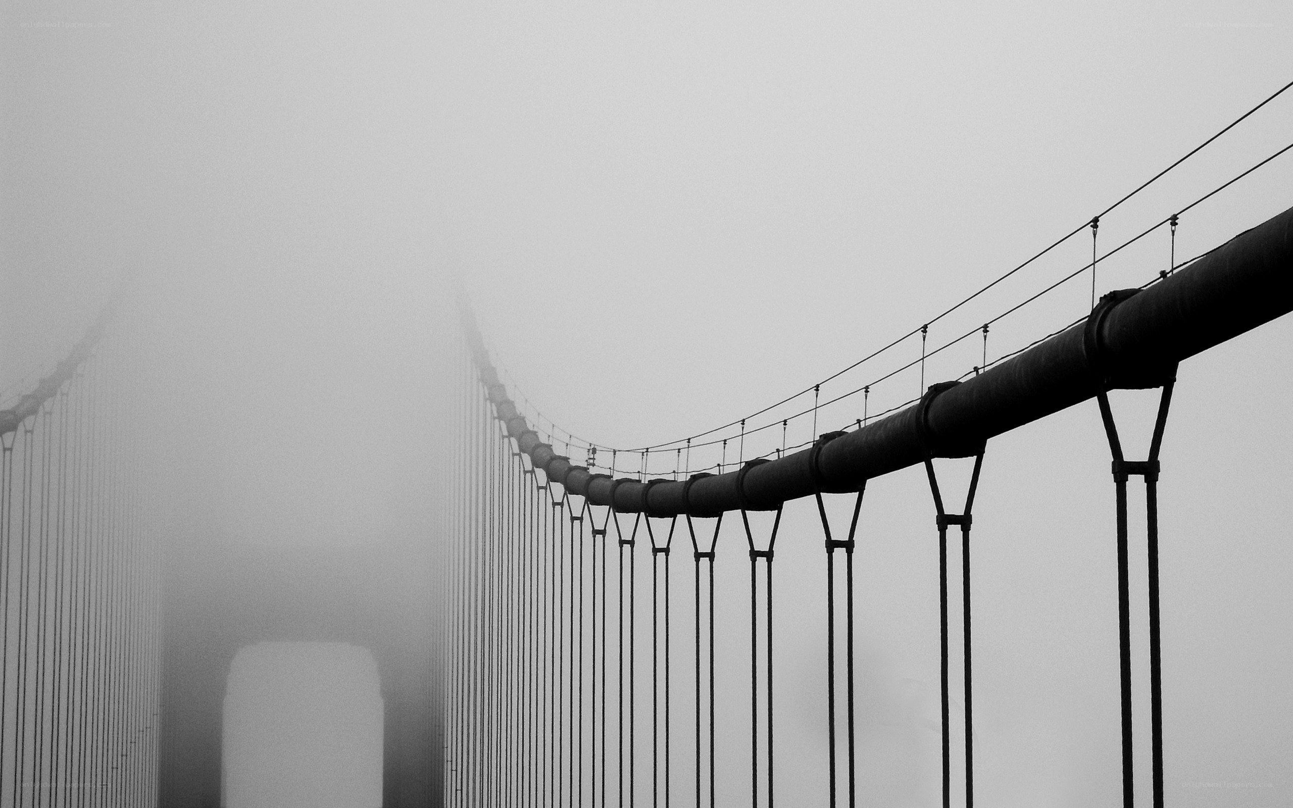 Foggy suspension bridge