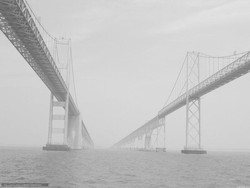 foggy suspension bridge
