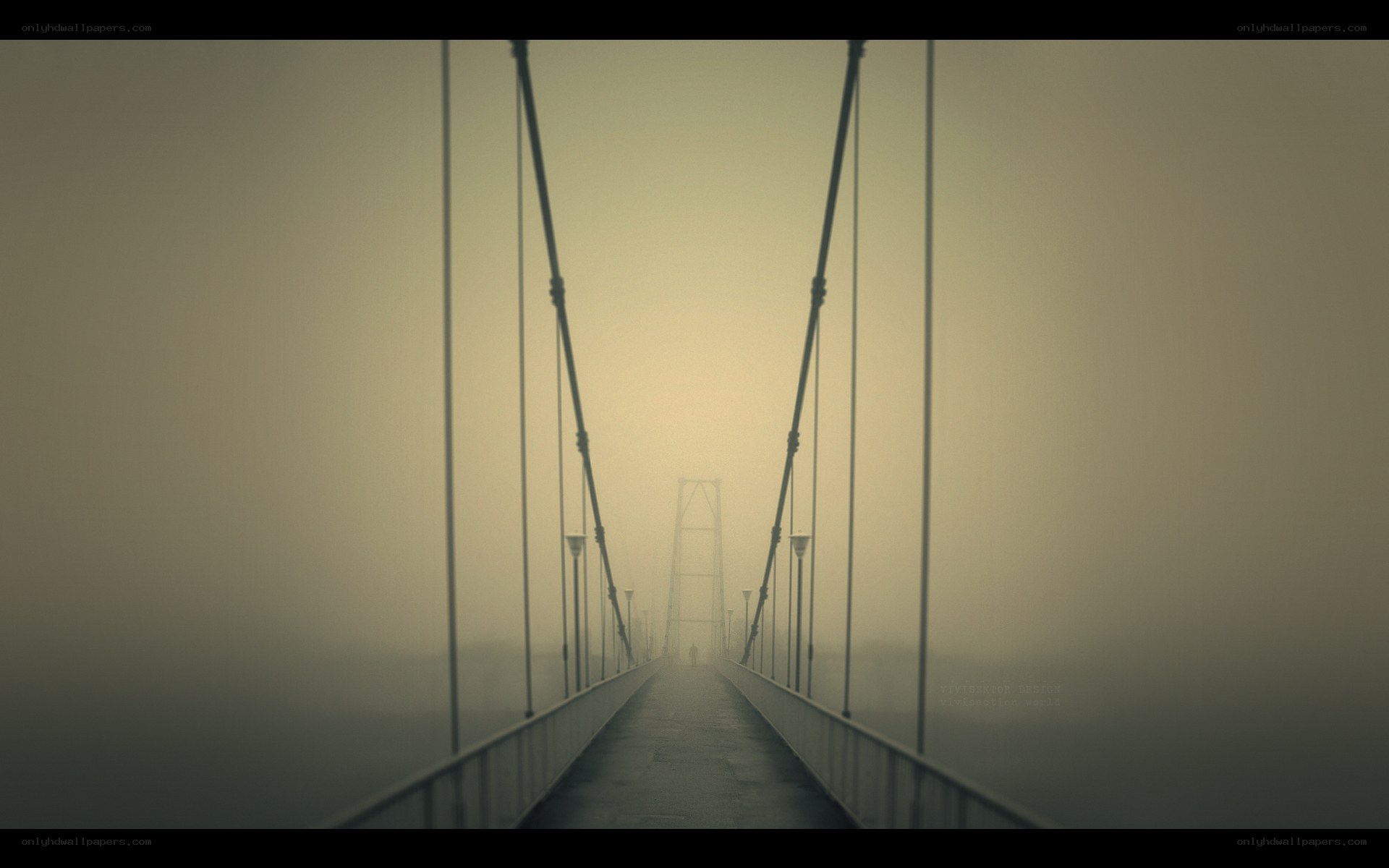 Foggy suspension bridge view
