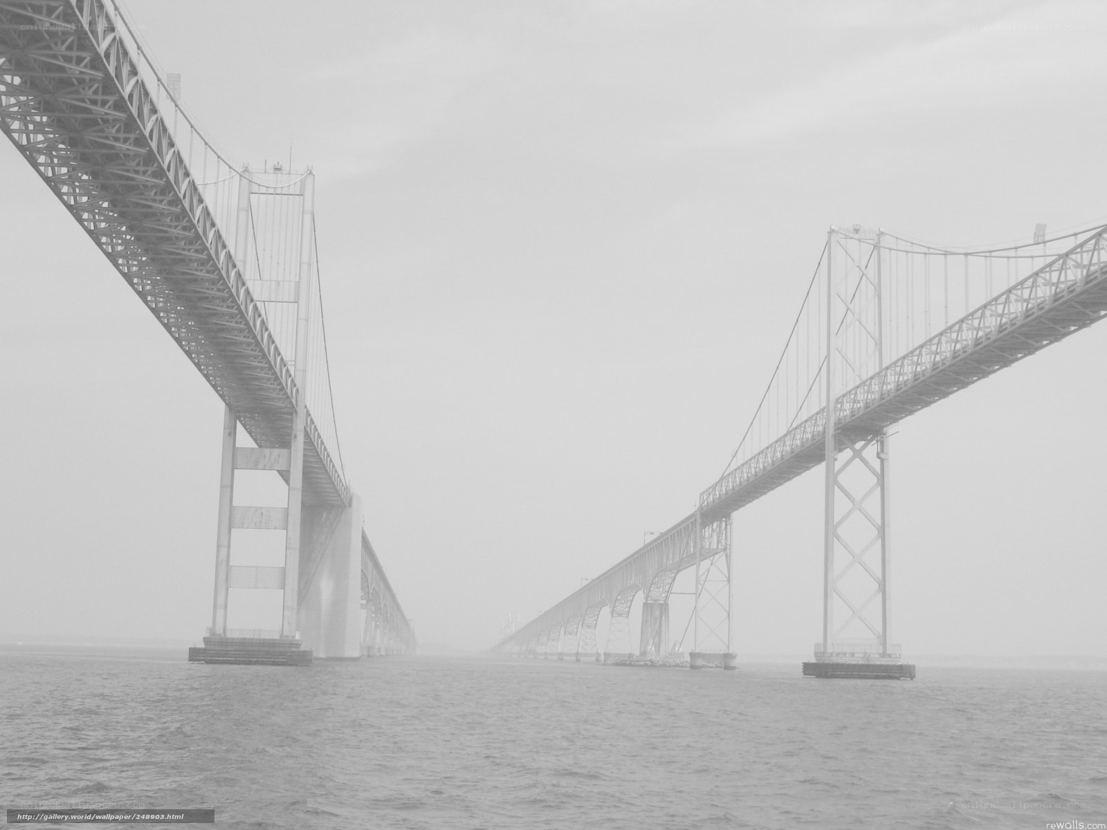 foggy suspension bridge