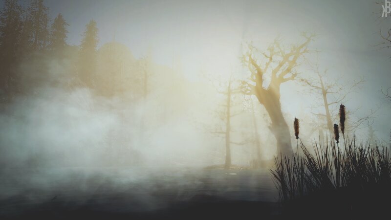 Foggy Swamp at Dawn