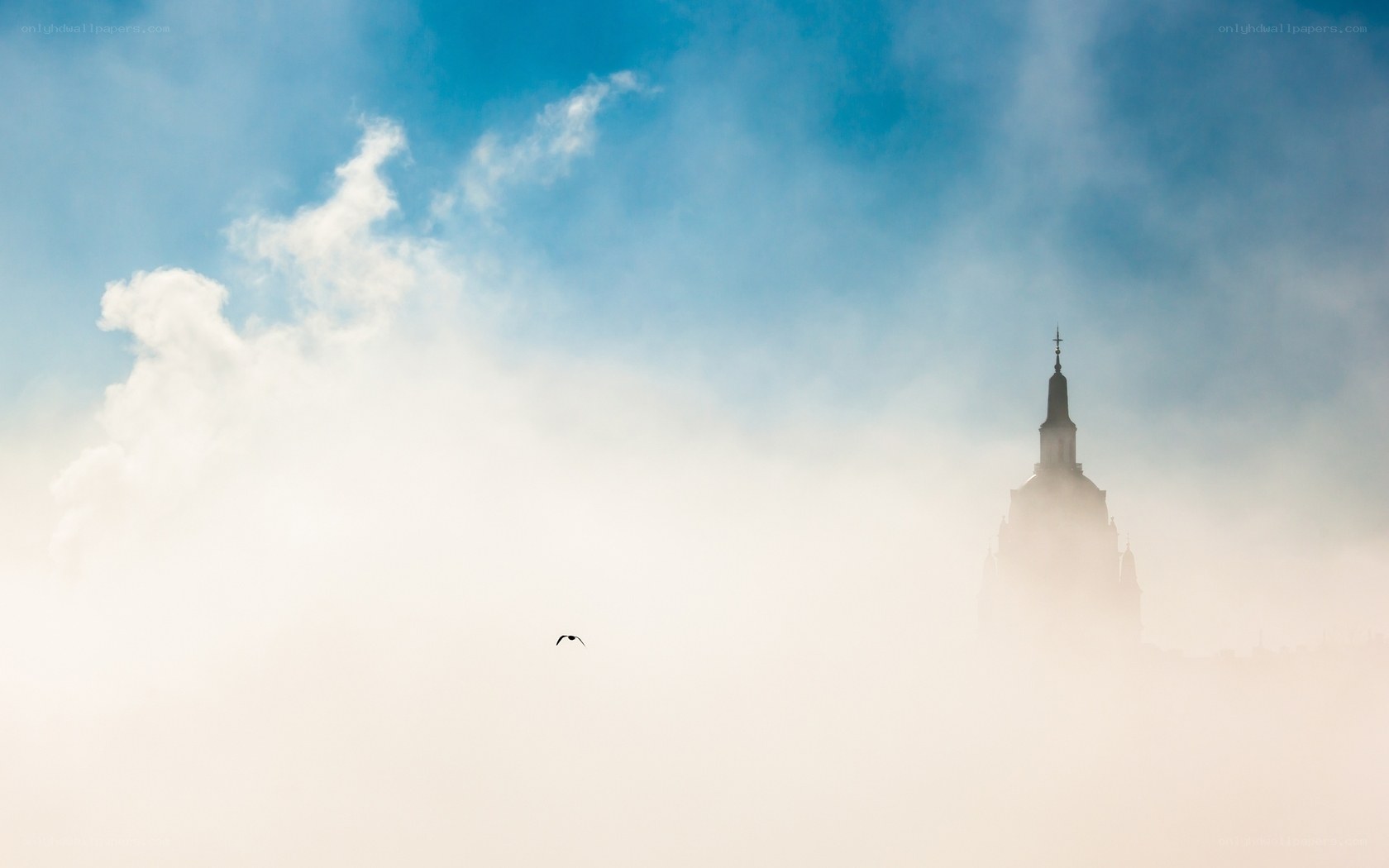 Foggy tower with bird