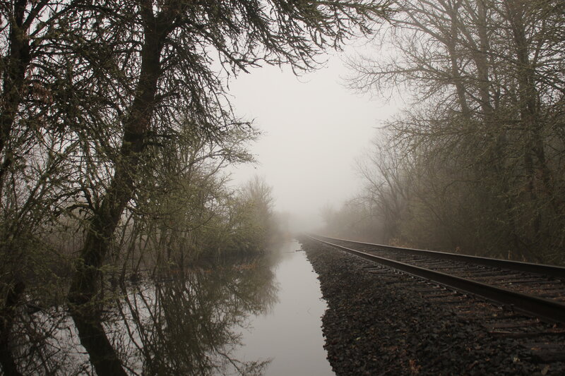 Foggy Train Tracks — Gray