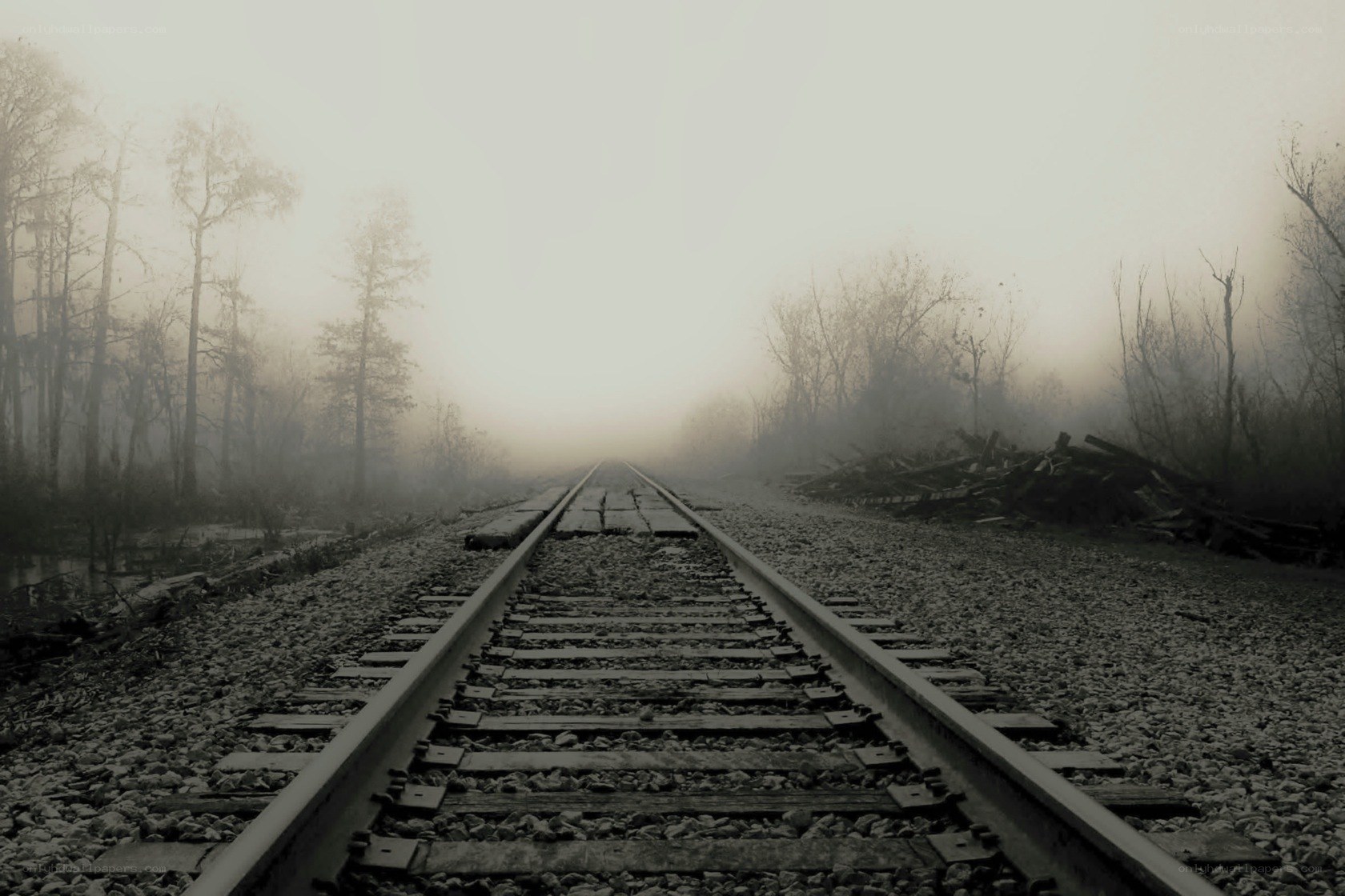 foggy train tracks in forest