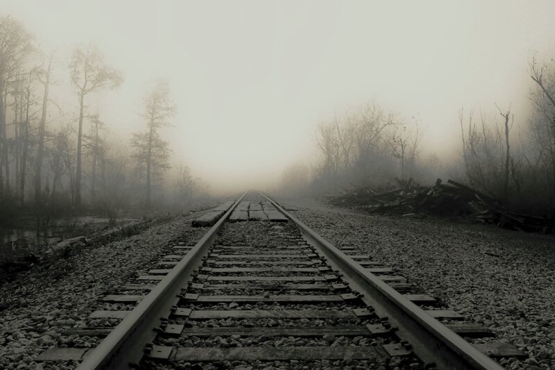 foggy train tracks in forest