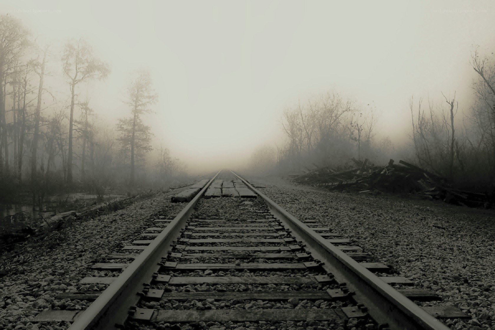 foggy train tracks in forest