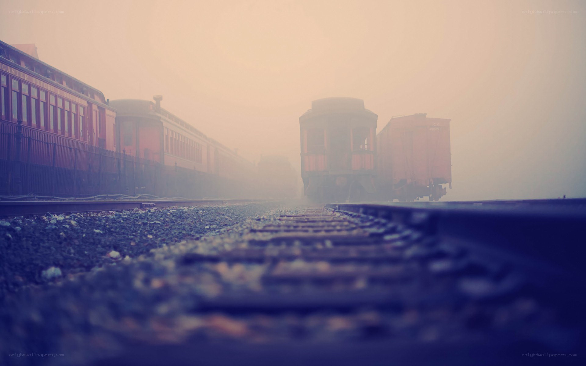 foggy train yard at dawn