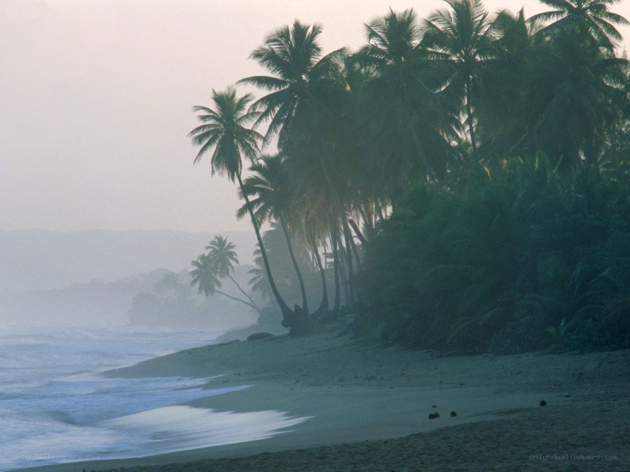 foggy tropical beach at dawn
