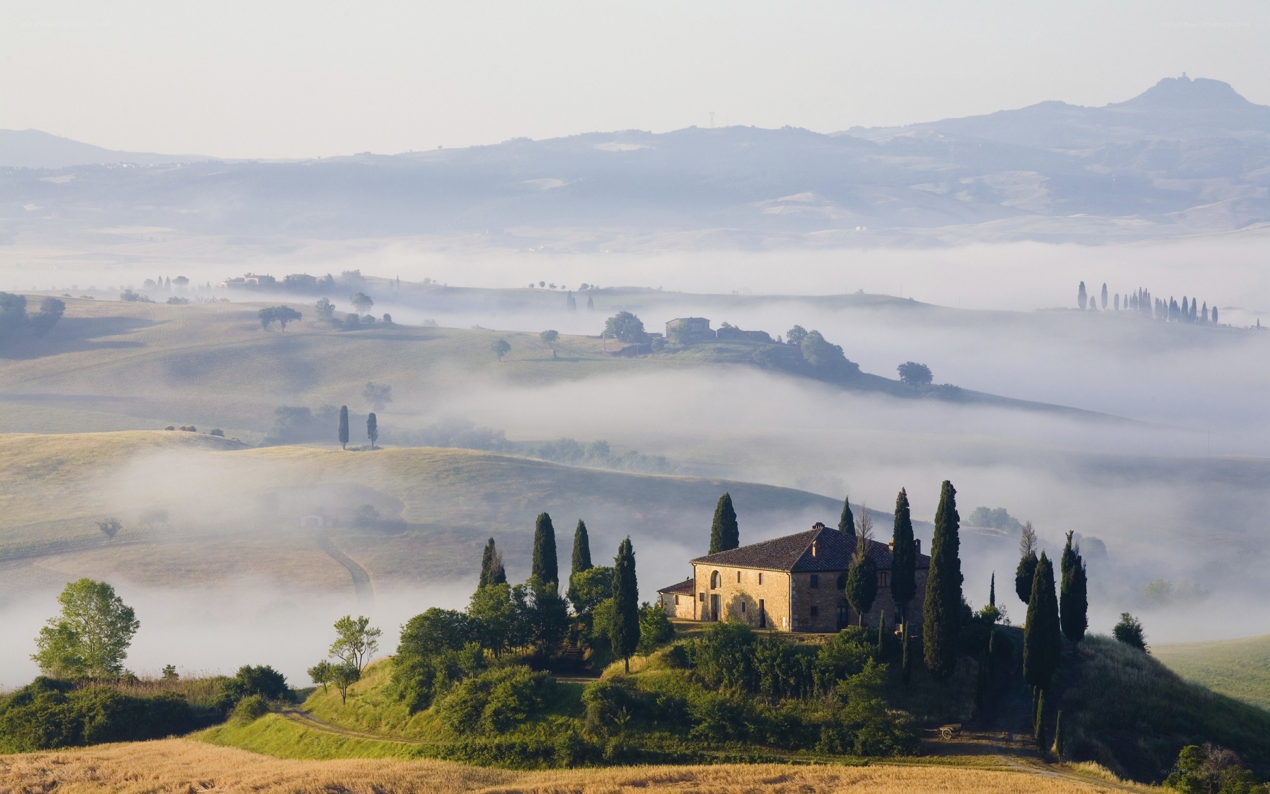 Foggy Tuscan landscape