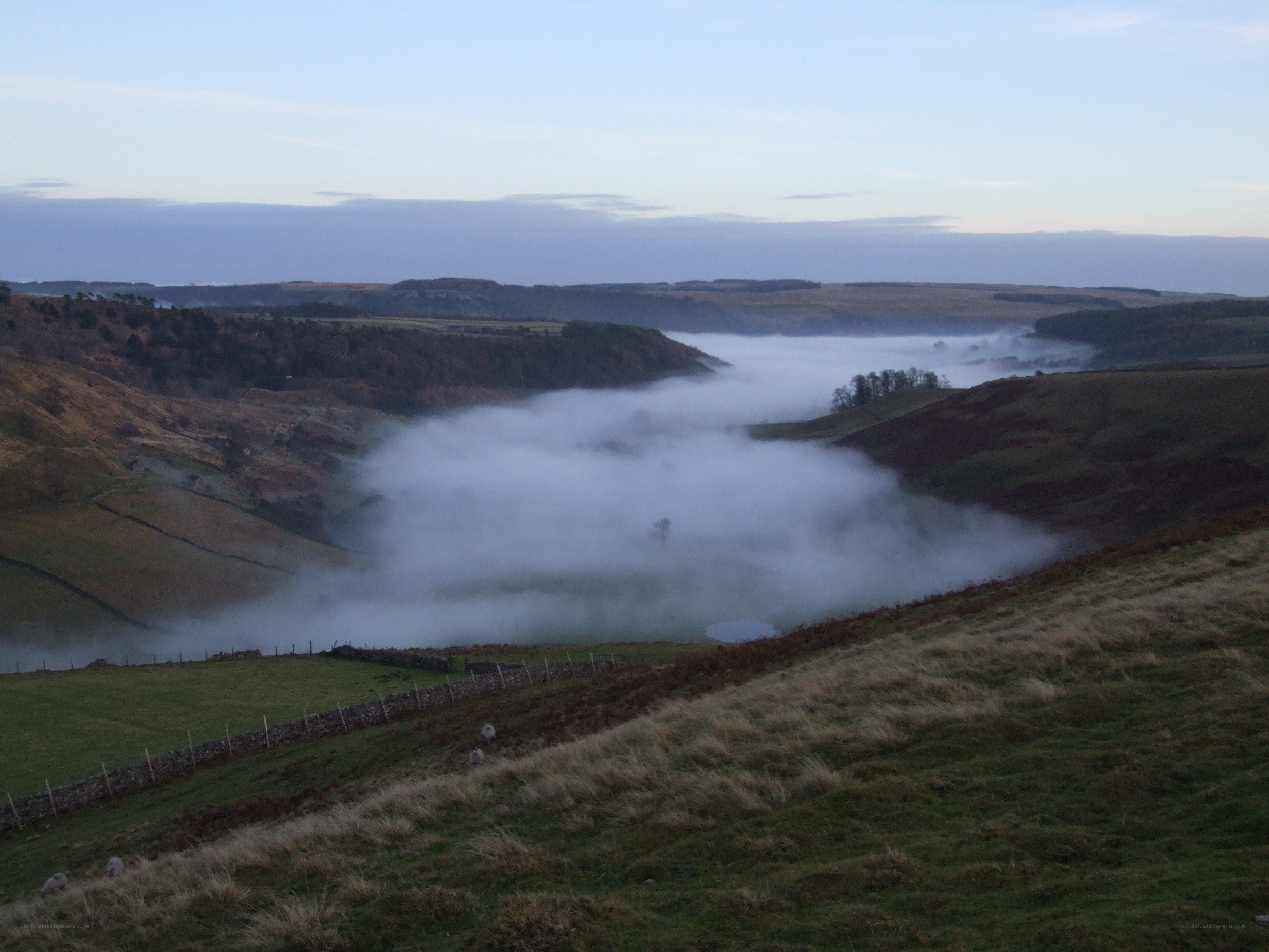 Foggy valley at dawn