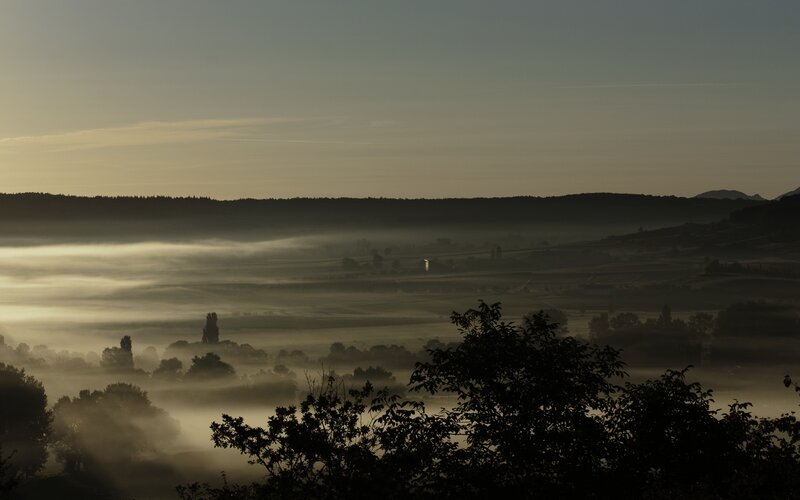Foggy valley at dawn