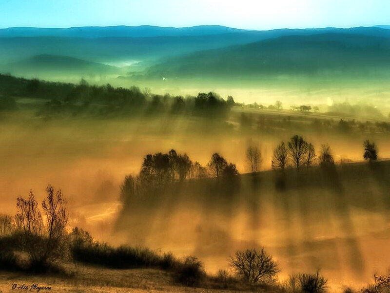 Foggy Valley at Dawn — Green