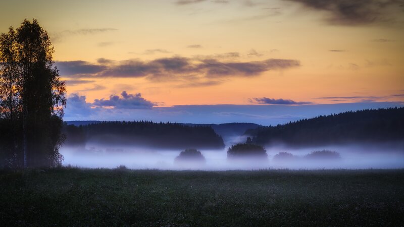 Foggy Valley at Dawn — Orange