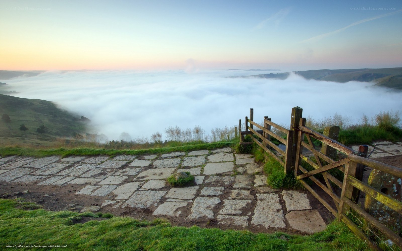 foggy valley at dawn