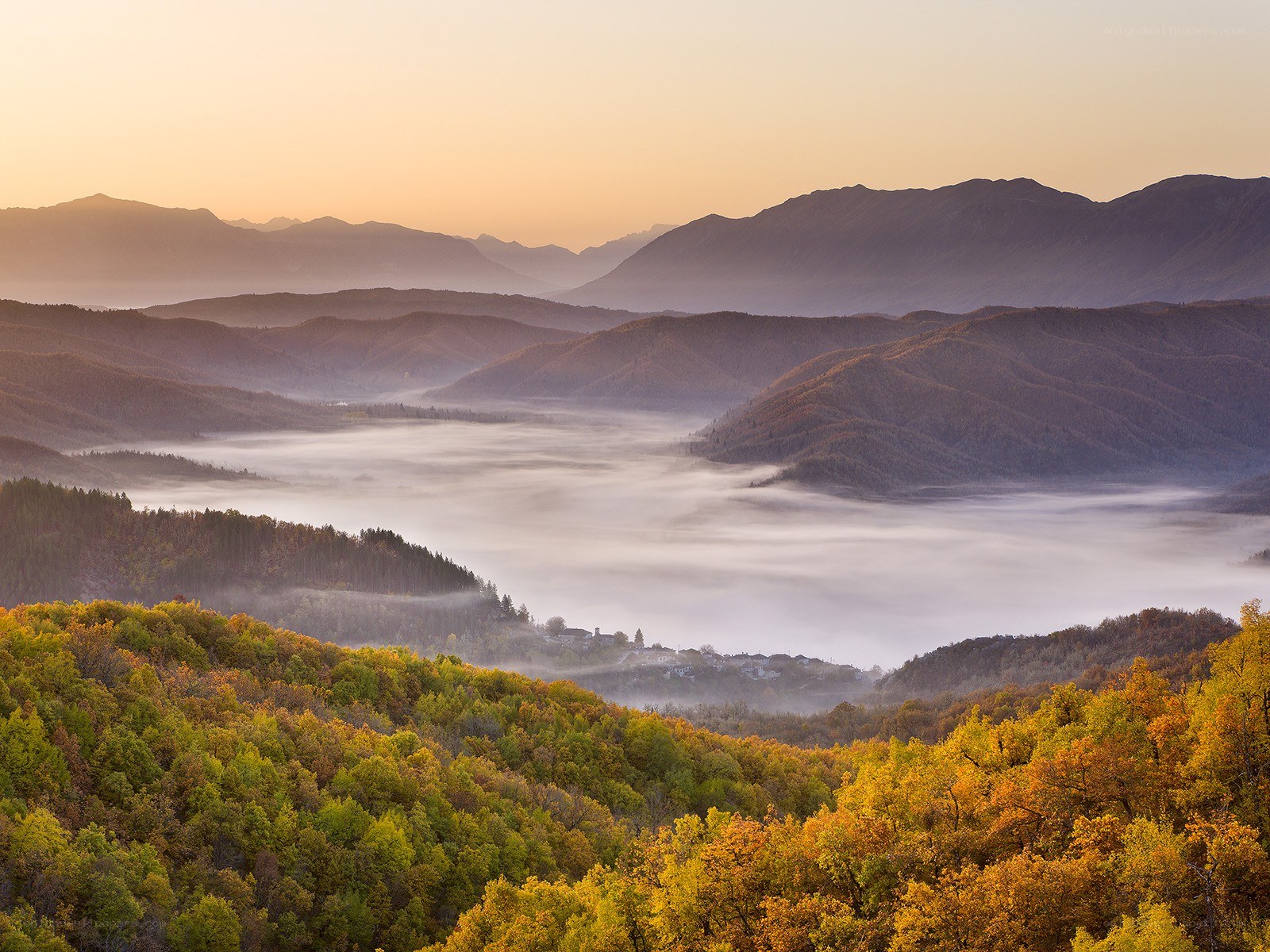 Foggy valley at sunrise