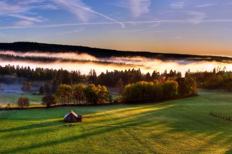 Foggy valley at sunrise