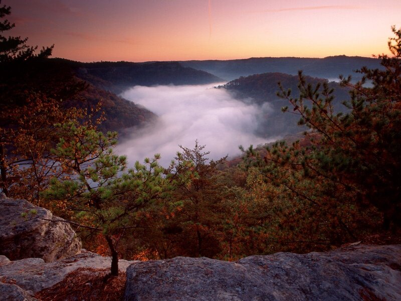 Foggy valley at sunrise