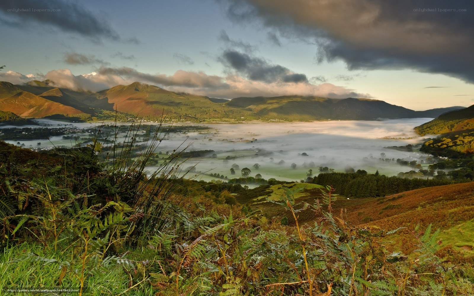 Foggy valley at sunrise