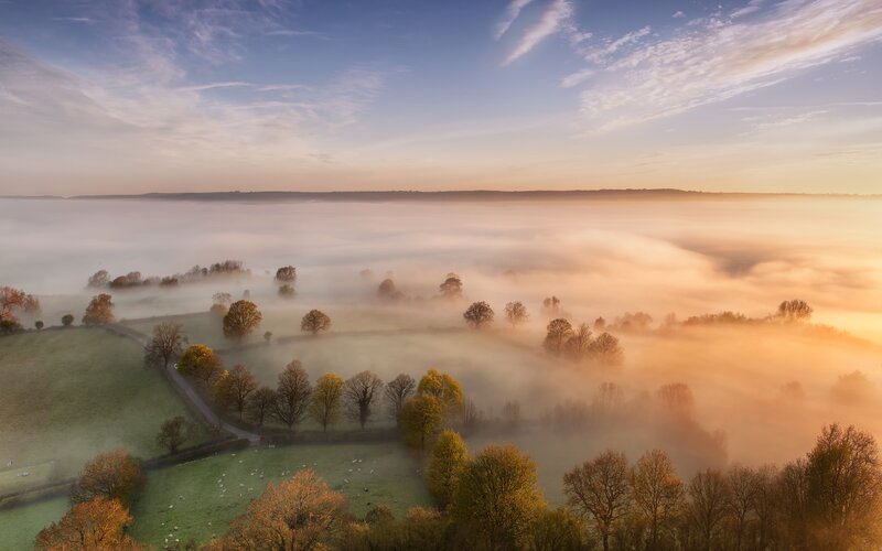 Foggy Valley at Sunrise — Blue, Serene
