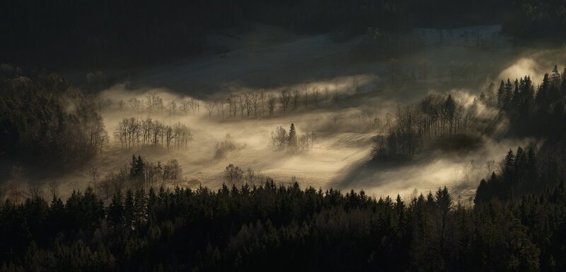 Foggy Valley at Sunrise — Brown