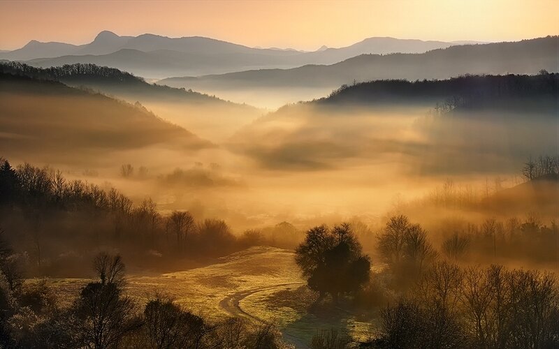 Foggy Valley at Sunrise — Gold, Serene, Photograph