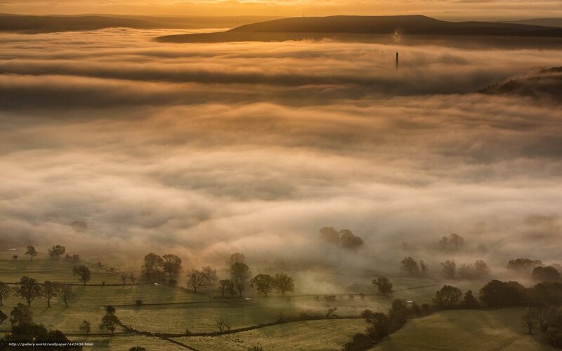 Foggy Valley at Sunrise — Gold, Serene