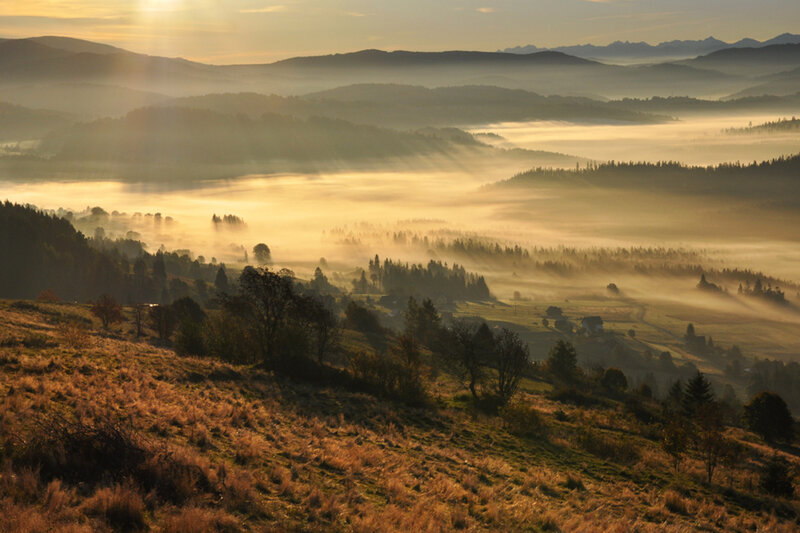 Foggy Valley at Sunrise — Gold