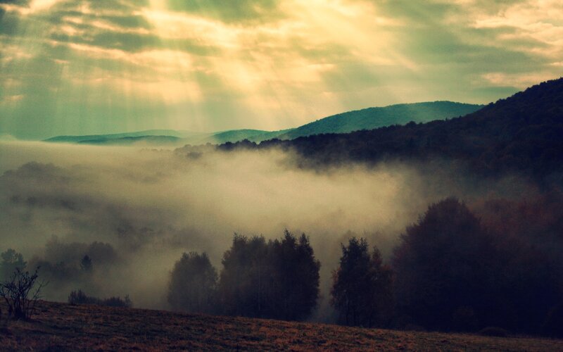 Foggy Valley at Sunrise — Green, Serene, Photograph, Mountains, Trees