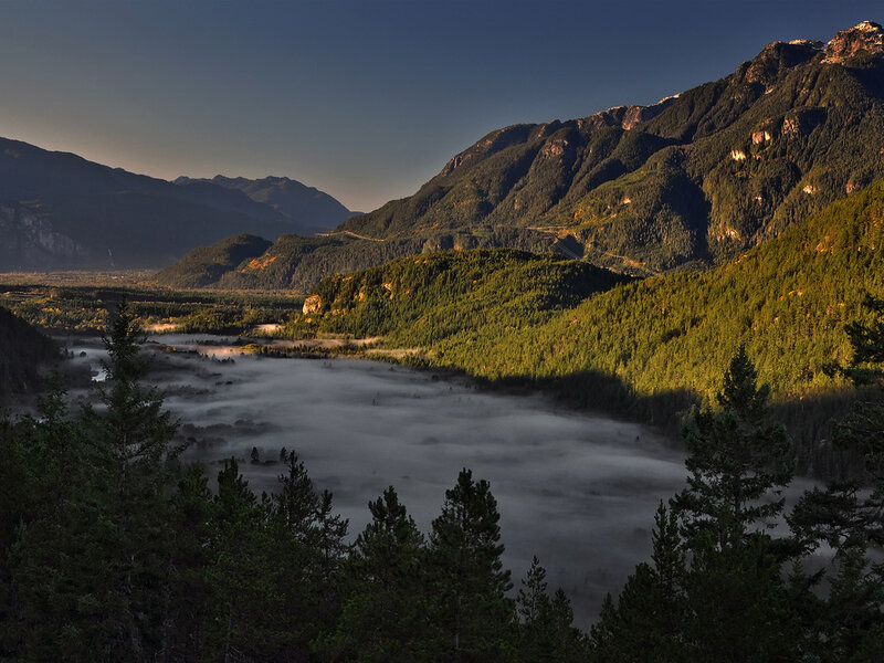 Foggy Valley at Sunrise — Green, Serene