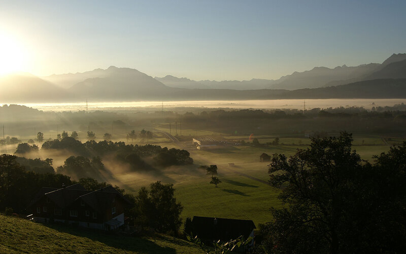 Foggy Valley at Sunrise — Green