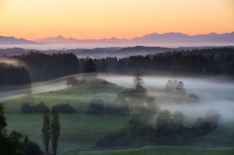 Foggy Valley at Sunrise — Orange, Serene, Photograph, Mountains, Forest
