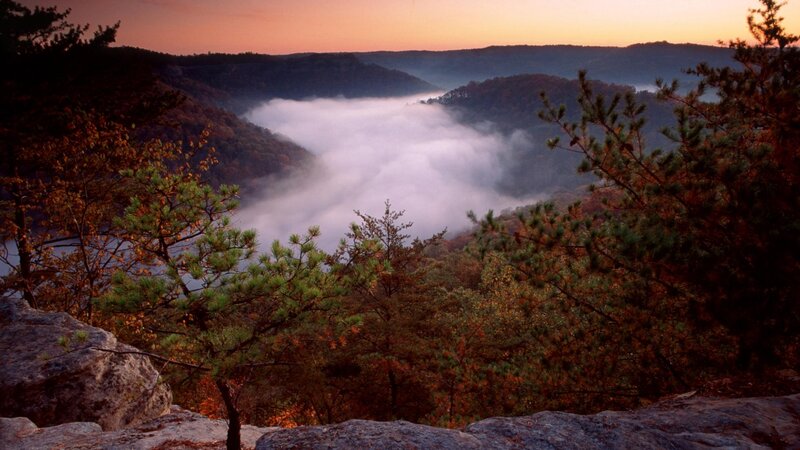 Foggy Valley at Sunrise — Orange, Serene