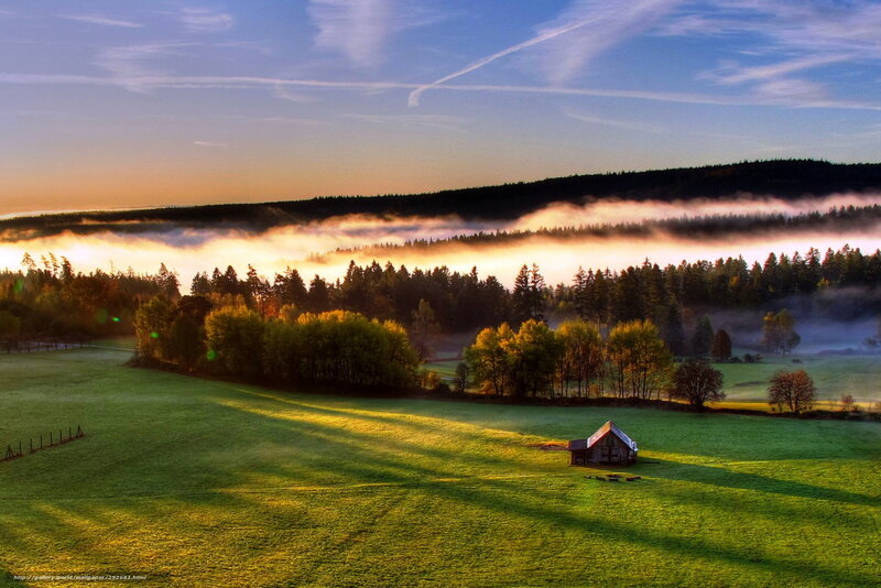 Foggy valley at sunrise