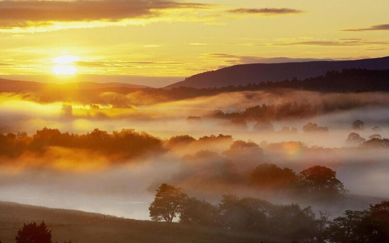 Foggy Valley at Sunrise — Yellow, Serene