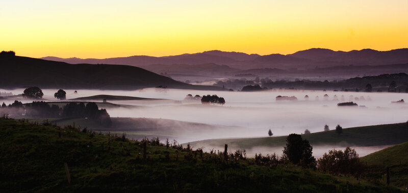 Foggy Valley at Sunrise — Yellow