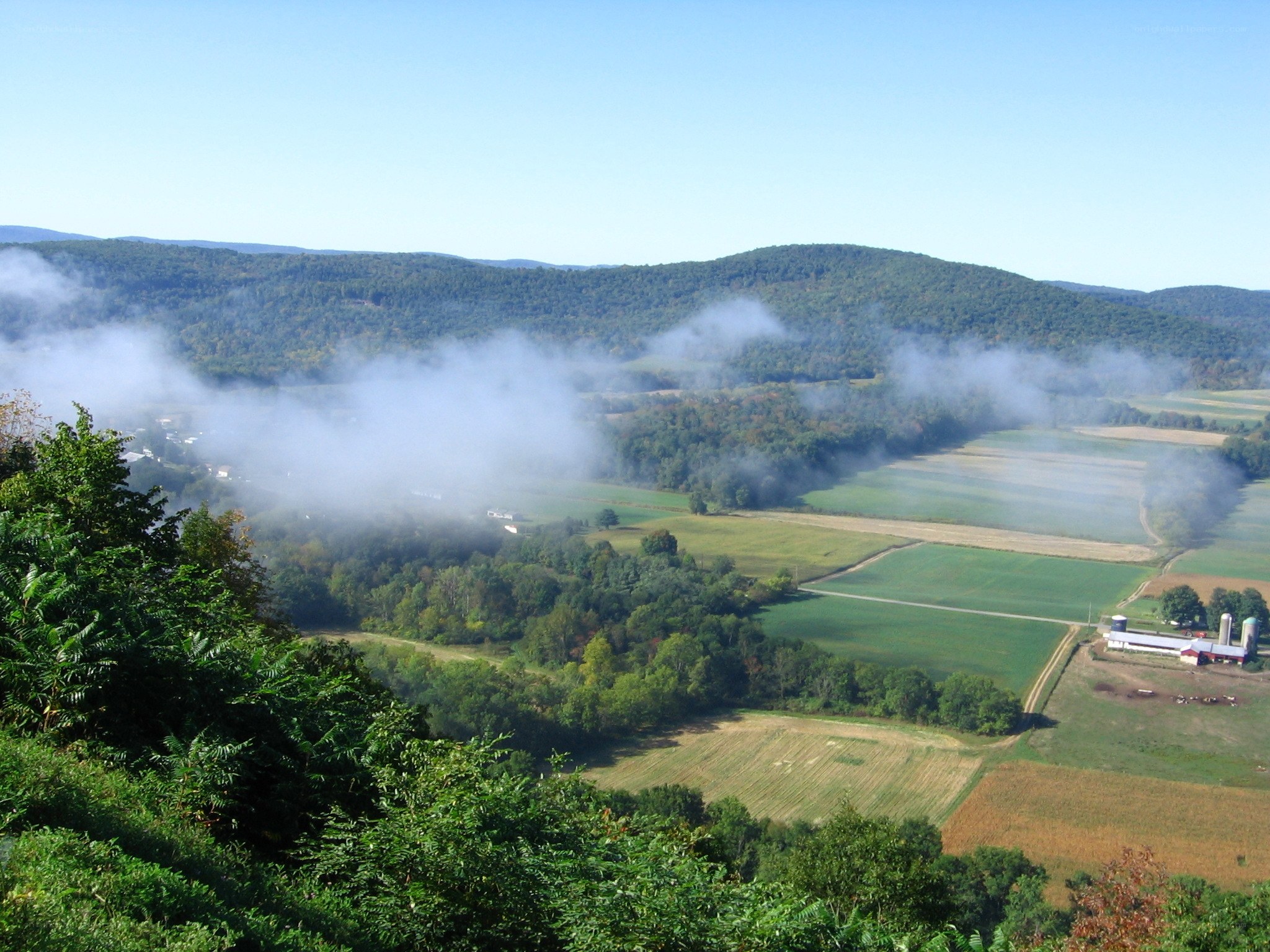 foggy valley farm landscape