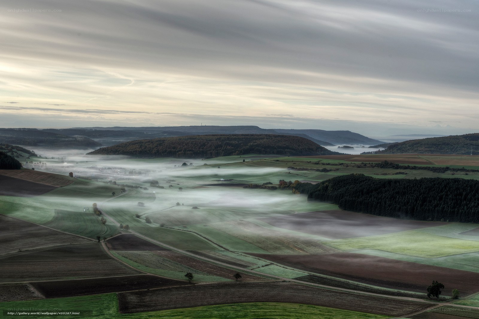 Foggy Valley Landscape