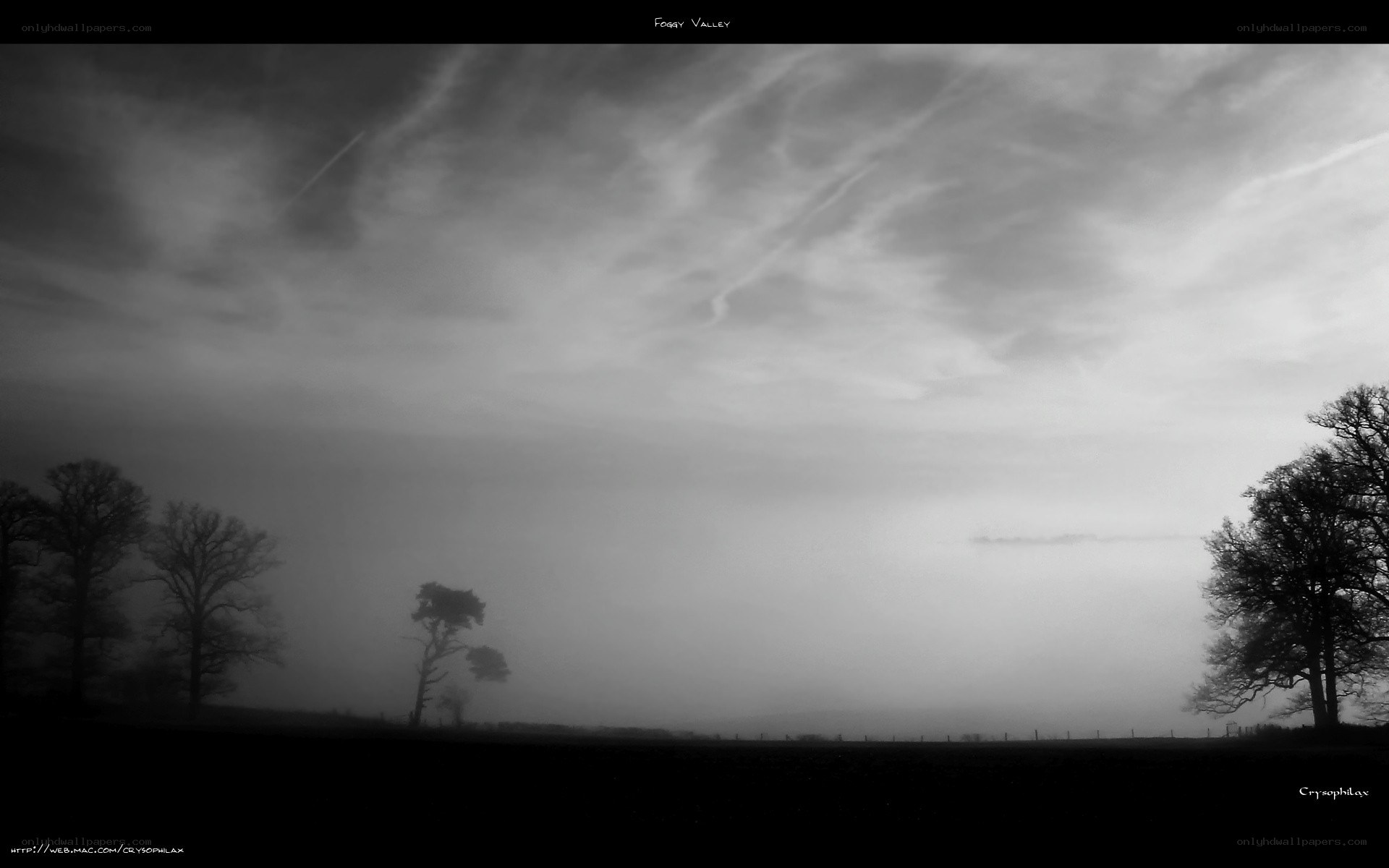 Foggy Valley Landscape