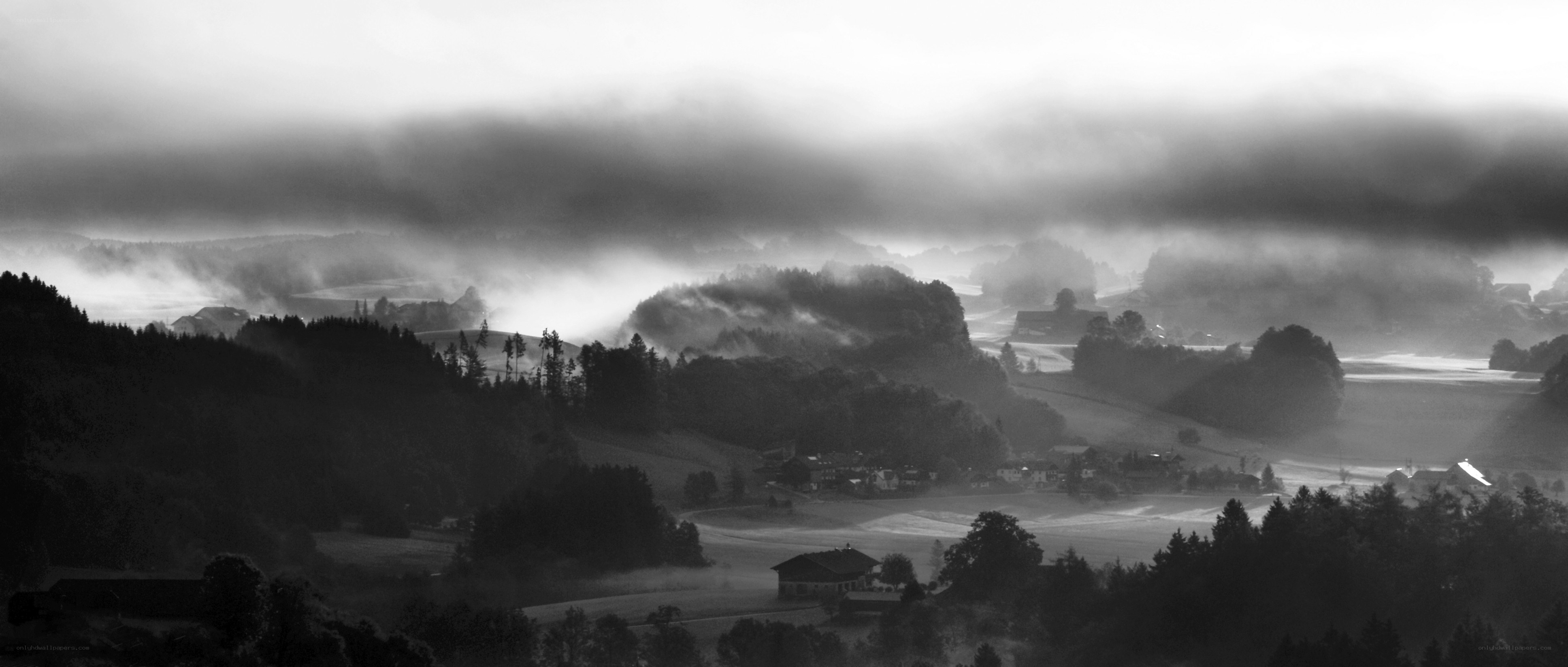 Foggy valley landscape