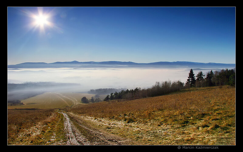 Foggy Valley Landscape — Blue