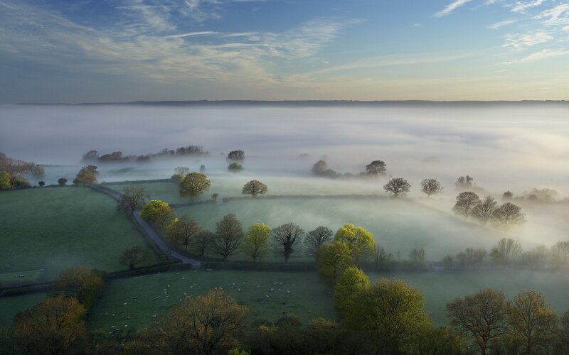 Foggy Valley Landscape — Green, Serene, Morning, Photograph
