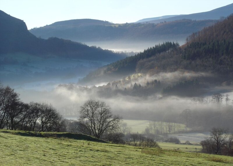Foggy Valley Landscape — Green