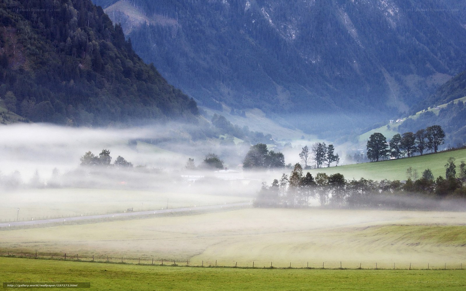 Foggy valley landscape