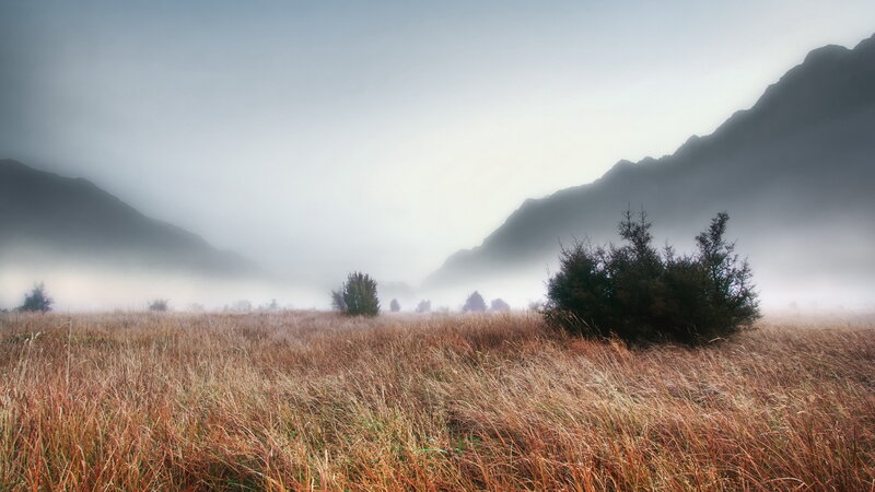 Foggy Valley with Grass