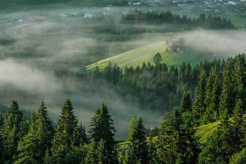 Foggy Valley with Houses — Green