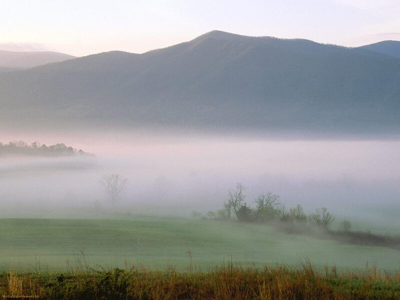 Foggy Valley with Mountains — Green