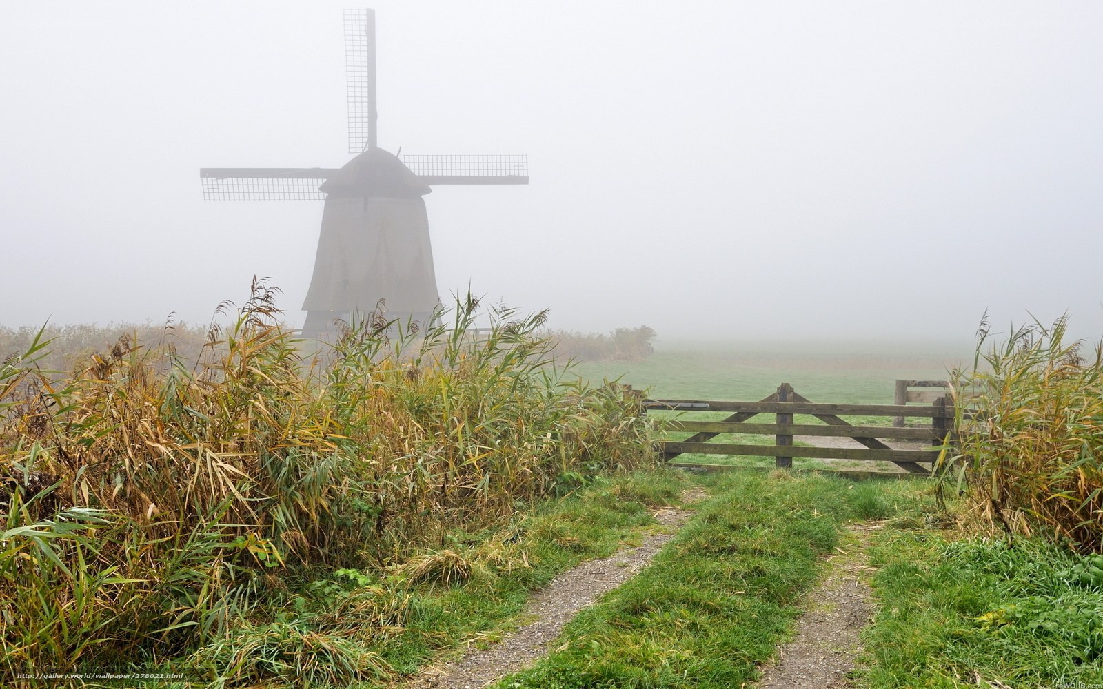 Foggy windmill path