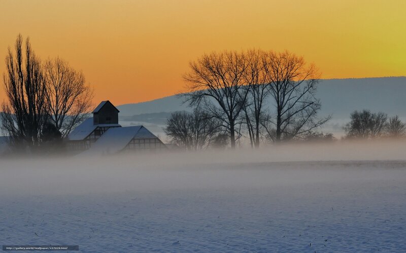 Foggy Winter Farm at Sunset
