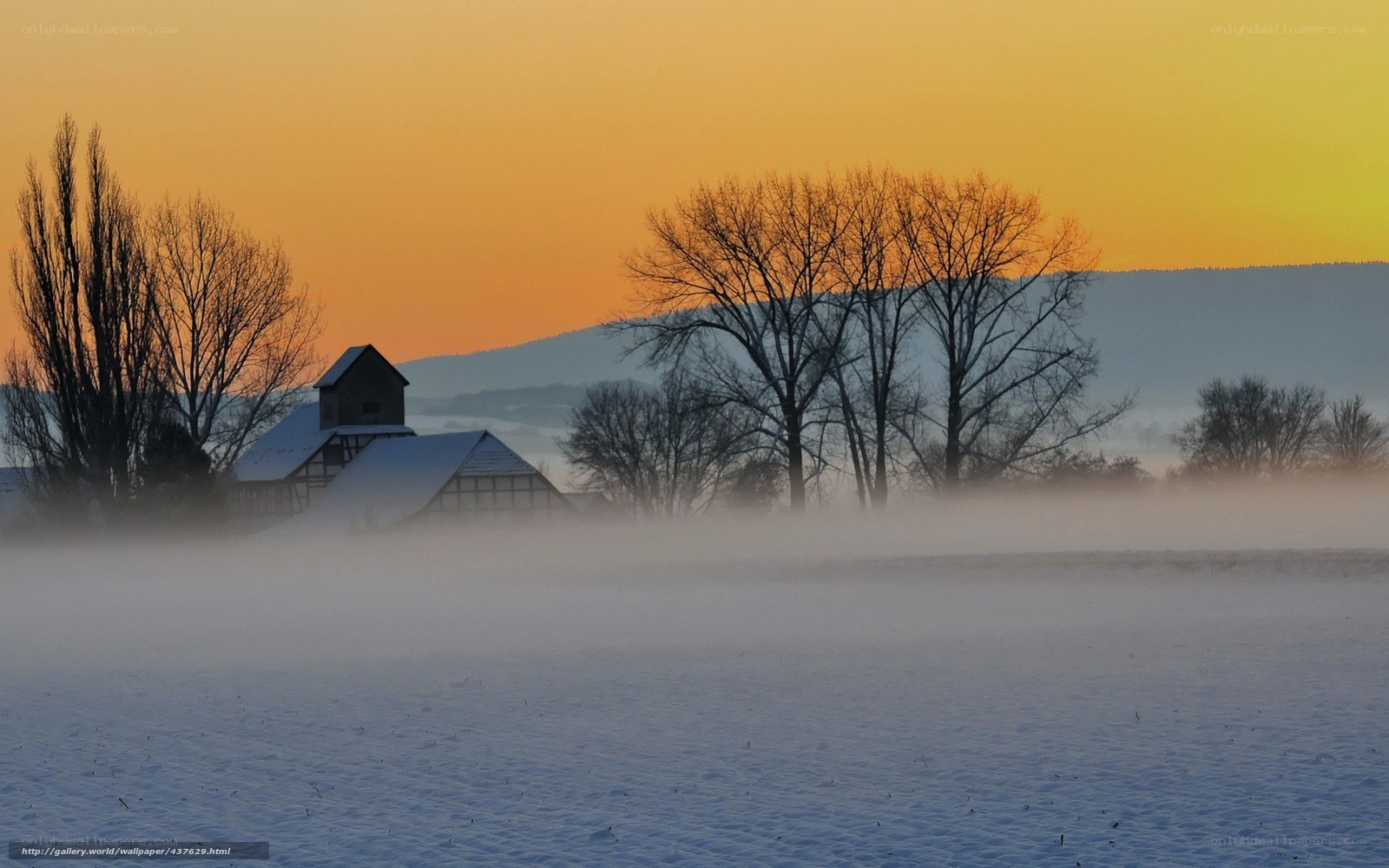 Foggy Winter Farm at Sunset