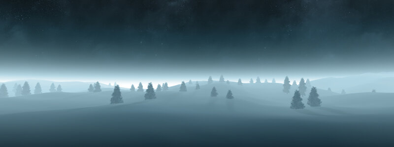 foggy winter forest landscape